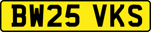 BW25VKS