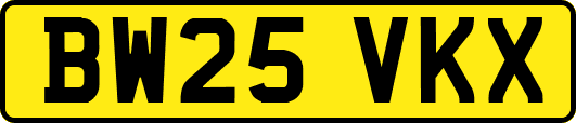 BW25VKX