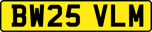 BW25VLM