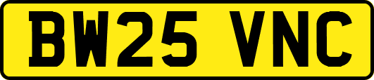 BW25VNC