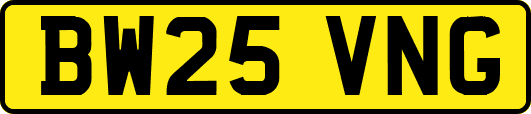BW25VNG
