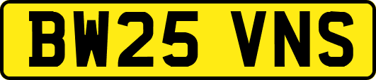 BW25VNS