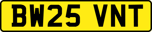 BW25VNT