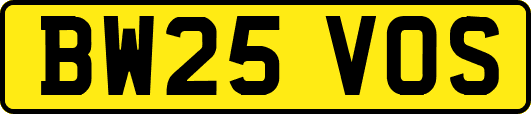 BW25VOS