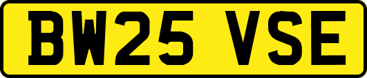 BW25VSE