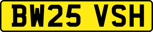 BW25VSH