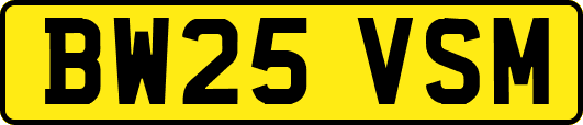BW25VSM