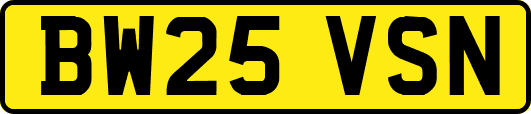 BW25VSN