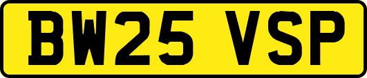 BW25VSP