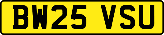 BW25VSU