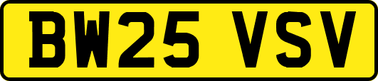 BW25VSV