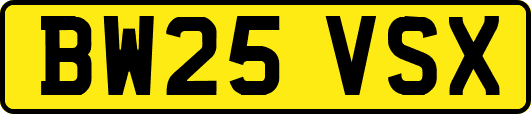 BW25VSX