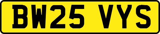 BW25VYS