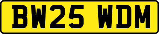 BW25WDM
