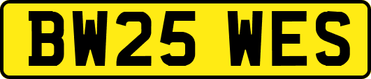 BW25WES