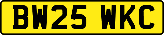 BW25WKC