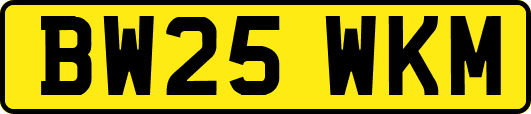 BW25WKM
