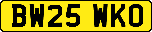 BW25WKO