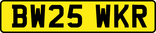 BW25WKR