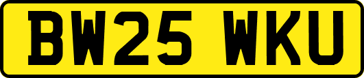 BW25WKU