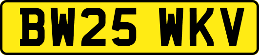 BW25WKV