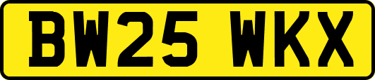 BW25WKX