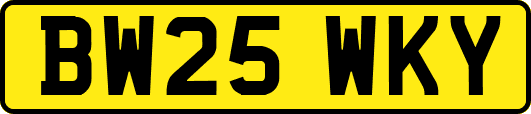BW25WKY