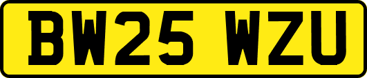 BW25WZU