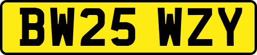 BW25WZY