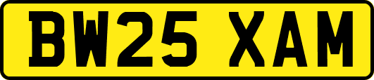 BW25XAM