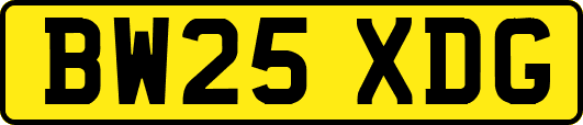 BW25XDG