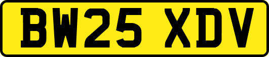 BW25XDV