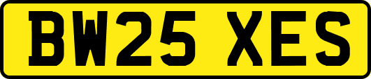 BW25XES