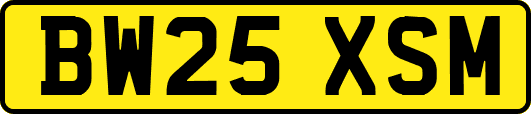 BW25XSM