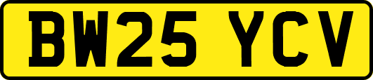 BW25YCV