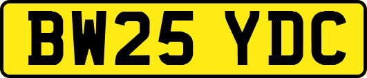 BW25YDC