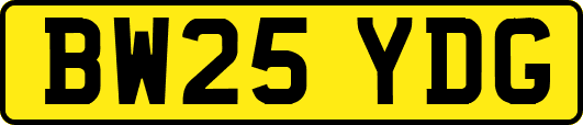BW25YDG