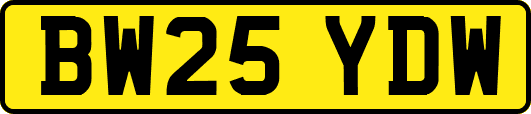 BW25YDW