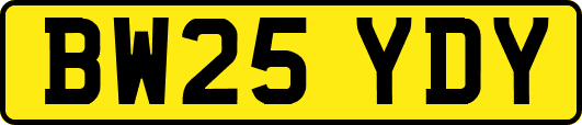 BW25YDY