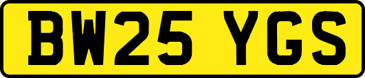 BW25YGS