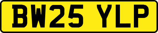 BW25YLP
