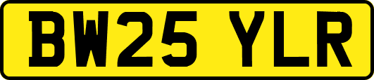 BW25YLR