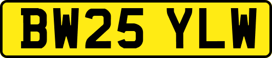 BW25YLW