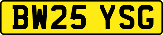 BW25YSG