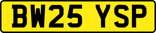 BW25YSP