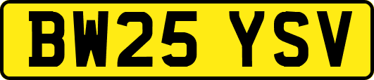 BW25YSV