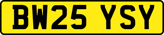 BW25YSY