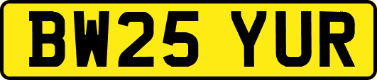 BW25YUR