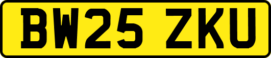 BW25ZKU