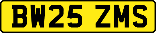 BW25ZMS